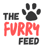 the furry feed logo