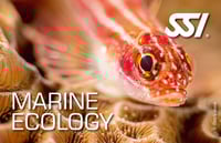 a fish fish in a coral reef with the words marine life magazine
