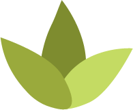 Kilbirnie Beauty Collective logo