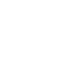 Practitioner Logo