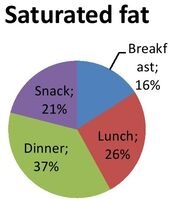IELTS writing task 1 pie chart