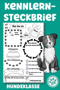 Steckbrief Hundeklasse