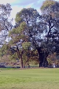Fred Campbell $10K Hole in One Ambrose