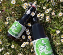 Les Bier'ouettes de la Brasserie d'Amboise : les saisonnières avec la bière de Printemps