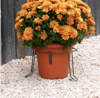 stabilisateur plante, cimetiere, tombe, pots pas renverser
