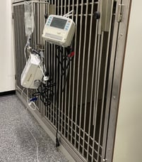 vet_cage_with_infusion_clamped_to_door