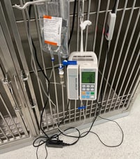 vet_cage_with_infusion_hanging