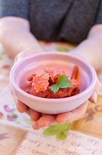 Sorbet à la Cerise