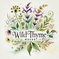 Wild Thyme Herbs logo