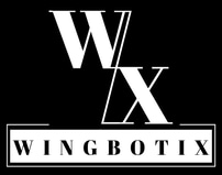 Wingbotix Enterprises logo