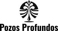 Pozos Profundos Pichilemu logo