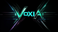 VoxiaDJ logo