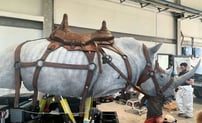 Rhino gladiator 2 prop