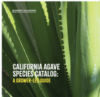 CALIFORNIA AGAVE SPECIES CATALOGUE