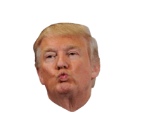 donald trump face meme