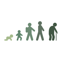 Age Stages