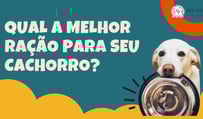Melhor ração para cachorro