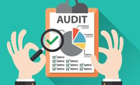 Audit Services