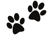 puppy paws