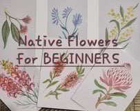 watercolour australian native flowers