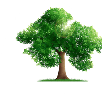 a single tree with a single tree in the middle