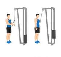 triceps pushdown
