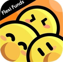 flexi funds