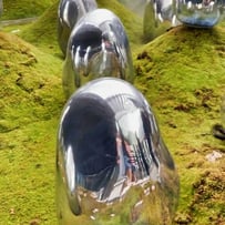 teamLab Planets moss garden