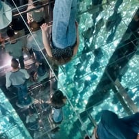 teamLab Planets Hanging garden floor 