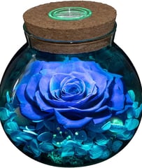 Preserved Real Roses Colorful Mood Light Wishing Bottle Flowers Table Decor Christmas Valentine