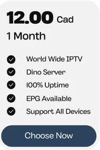 1 month subscription