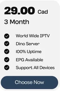 3 months subscription