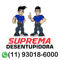 Desentupidora na Lapa logo