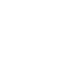 NYC Travel logo