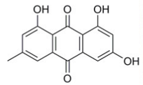 Molécule lichénique – Emodine