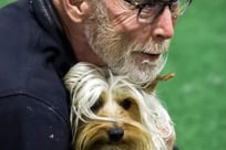 Silky Terrier, Love Our Dogs, Platte Valley Kennel Club