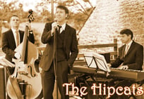 The Hipcats jazz trio - weddings and events - Wick Farm venue, Bath, Wiltshire band for hire