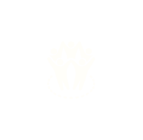 Social Mind Inspired logo