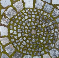 mandala avec mousse sur sol en pierre, fondation, socle, terre