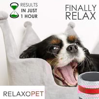 RelaxoPet PRO Animal Relaxation Trainer