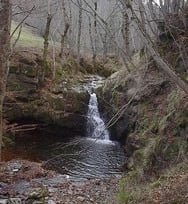 Le torrent en automne