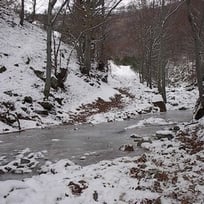 Le torrent gelée