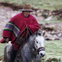 peru horserider in palccoyo