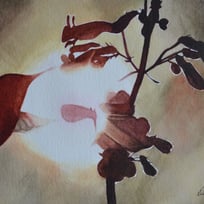 hummingbird, flowers