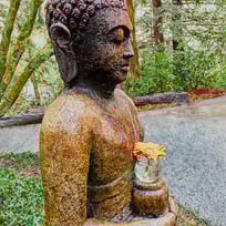buddha statue, flower, yellow, orange, green