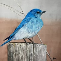 bluebird, stump, blue