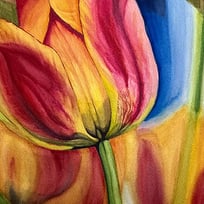 red, yellow, tulips