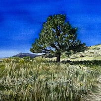 trail, mountain, tree