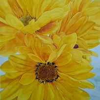yellow flowers