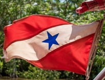 BANDEIRA DO PARÁ NA AMAZÔNIA